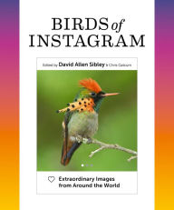 Download ebooks gratis para ipad Birds of Instagram: Extraordinary Images from Around the World 9781419751707 (English Edition) MOBI