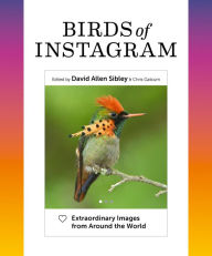 Epub format ebooks free download Birds of Instagram: Extraordinary Images from Around the World in English