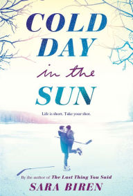 Title: Cold Day in the Sun: A Novel, Author: Sara Biren