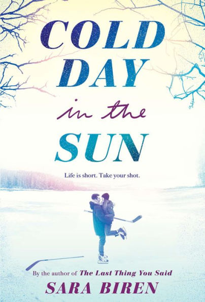 Cold Day the Sun: A Novel