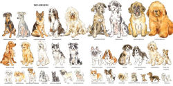Alternative view 7 of Dogs: A History of Our Best Friends