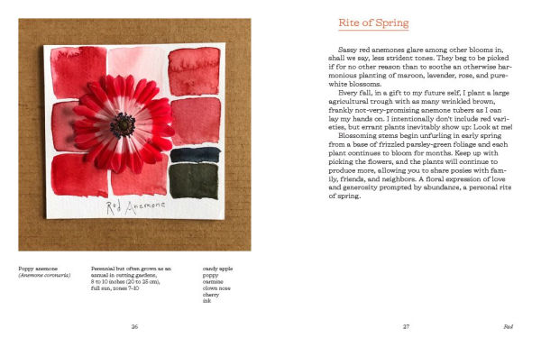 Color In and Out of the Garden: Watercolor Practices for Painters, Gardeners, and Nature Lovers