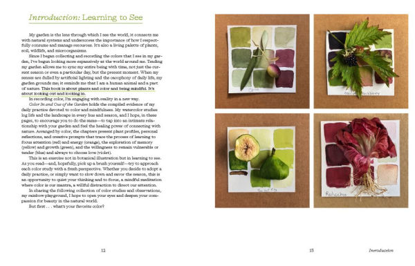 Color In and Out of the Garden: Watercolor Practices for Painters, Gardeners, and Nature Lovers