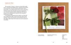 Alternative view 7 of Color In and Out of the Garden: Watercolor Practices for Painters, Gardeners, and Nature Lovers