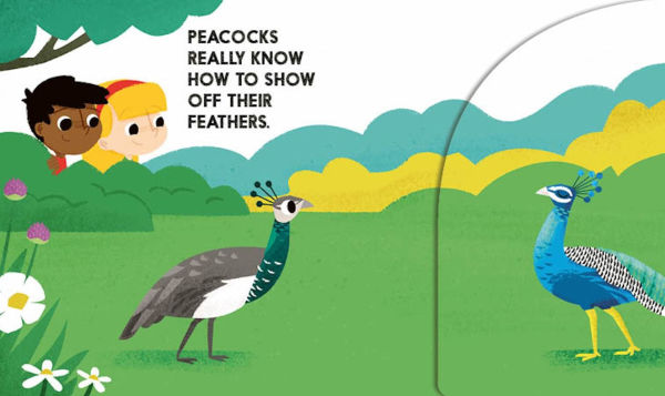 Birdblock (An Abrams Block Book)