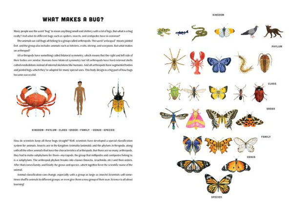 Bugs: A Skittery, Jittery History