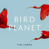 Bird Planet: A Photographic Journey