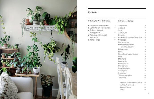 The New Plant Collector: Next Adventure Your House Journey