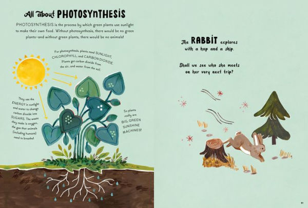 5-Minute Nature Stories: A Picture Book