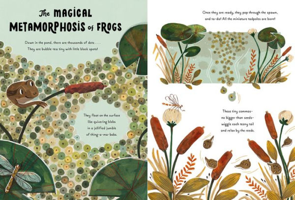 5-Minute Nature Stories: A Picture Book