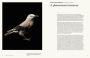 Alternative view 4 of The Animal Mind: Profiles of Intelligence and Emotion