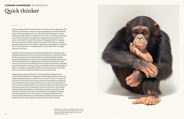 The Animal Mind: Profiles of Intelligence and Emotion