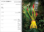 Alternative view 8 of Chihuly 12-Month 2024 Hardcover Weekly Planner Calendar