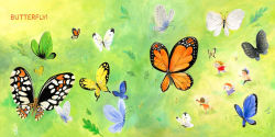 Alternative view 2 of Wonder Wings: Guess Who's Flying (The Nature Riddles and Rhymes Series)