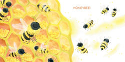 Alternative view 4 of Wonder Wings: Guess Who's Flying (The Nature Riddles and Rhymes Series)
