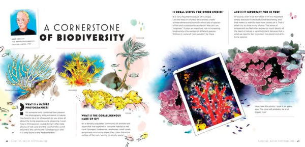 The Mysteries of Red Coral: My Adventure Around the Mediterranean