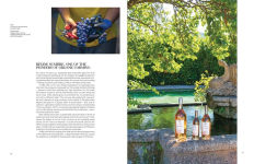 Alternative view 4 of Adventures in Rosé Wine in Provence