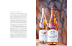 Alternative view 5 of Adventures in Rosé Wine in Provence