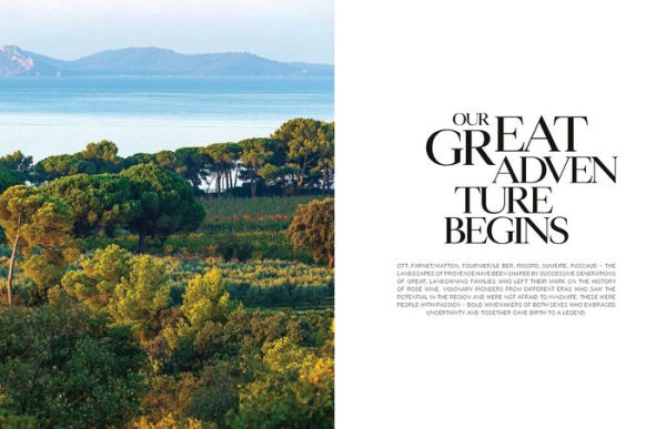Adventures in Rosé Wine in Provence