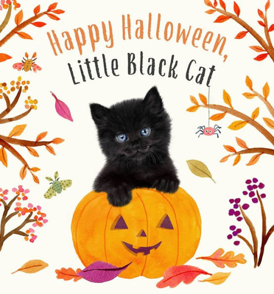 Happy Halloween, Little Black Cat: A Board Book