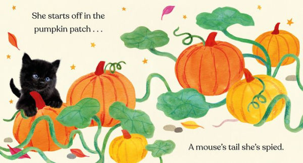 Happy Halloween, Little Black Cat: A Board Book