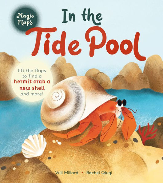 the Tide Pool: A Magic Flaps Book