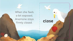 Alternative view 2 of In the Tide Pool: A Magic Flaps Book