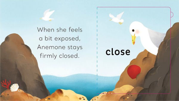 the Tide Pool: A Magic Flaps Book