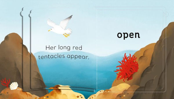 the Tide Pool: A Magic Flaps Book