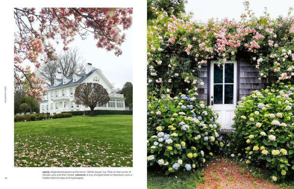 Walk With Me: Hamptons: Photographs