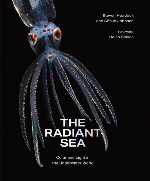 the Radiant Sea: Color and Light Underwater World