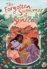 Best audio books download The Forgotten Summer of Seneca: A Novel