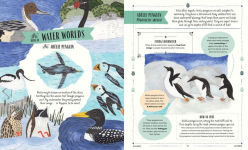 Alternative view 4 of Fly: A Family Guide to Birds and How to Spot Them