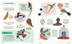 Alternative view 6 of Fly: A Family Guide to Birds and How to Spot Them