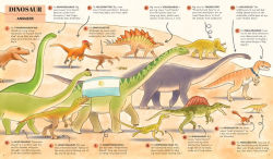 Alternative view 3 of Name That Thing!: Stretch Your Brain Power with 20 Picture Quizzes