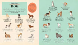 Alternative view 5 of Name That Thing!: Stretch Your Brain Power with 20 Picture Quizzes