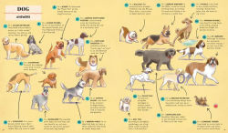 Alternative view 6 of Name That Thing!: Stretch Your Brain Power with 20 Picture Quizzes