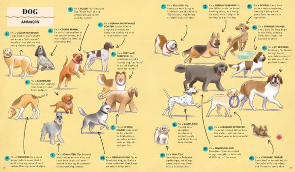 Name That Thing!: Stretch Your Brain Power with 20 Picture Quizzes