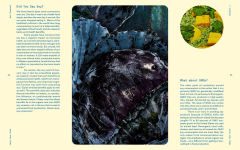 Alternative view 9 of Help Your Self: The New Rules for Wellness