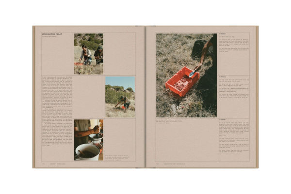 Desert by Design: Creative Minds, Arid Places, Tailor-Made Spaces