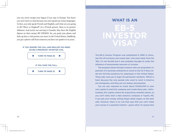 America, Let Me In: A Choose Your Immigration Story