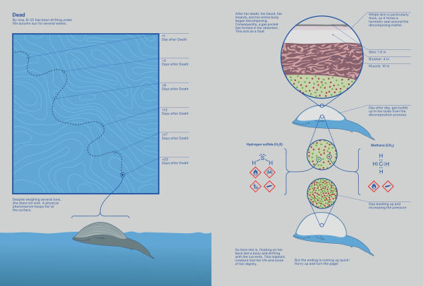 From Above: An (Info)graphic Novel