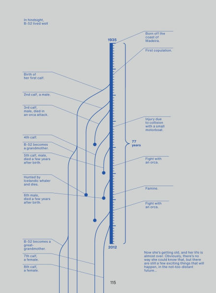 From Above: An (Info)graphic Novel