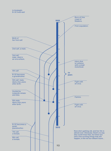 From Above: An (Info)graphic Novel