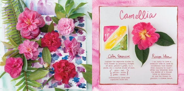 The Watercolor Feast: Learn to Paint Simple Fruits, Vegetables, and Flowers