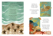 Alternative view 5 of 5-Minute Ocean Stories
