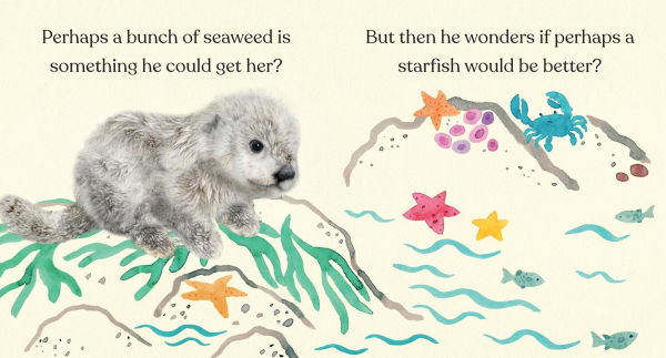 Mommy Loves You, Little Sea Otter: A Board Book