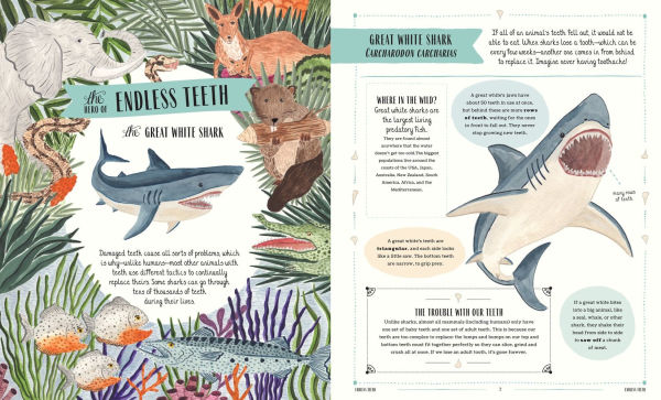 Wild: A Family Guide to the Animal Kingdom