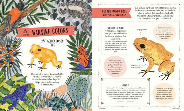 Wild: A Family Guide to the Animal Kingdom