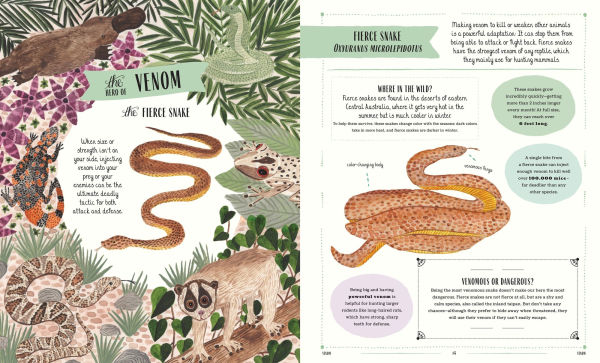 Wild: A Family Guide to the Animal Kingdom